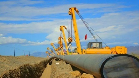 中海油滨州天然气管道建设工程-全过程咨询